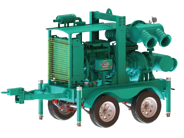 Vacuum Drainage Pump
