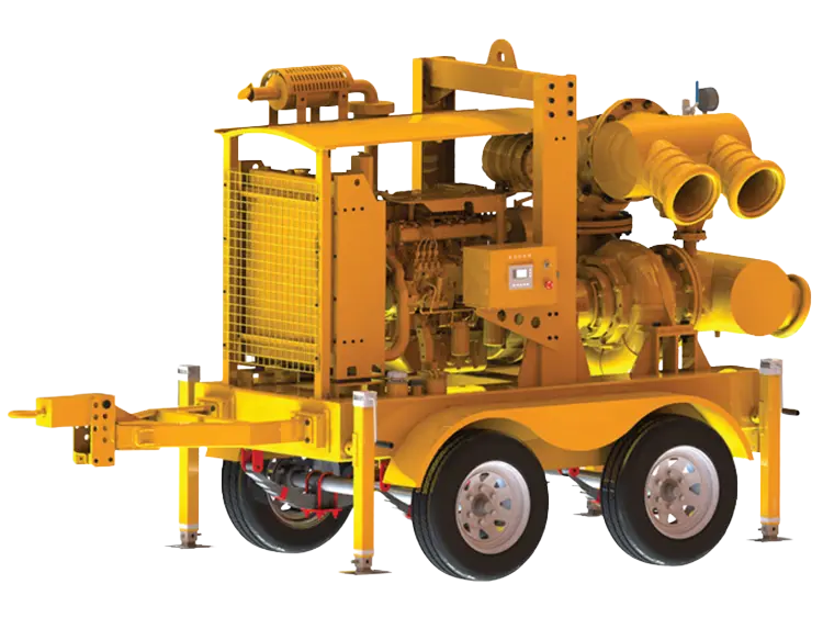 Vacuum Drainage Pump